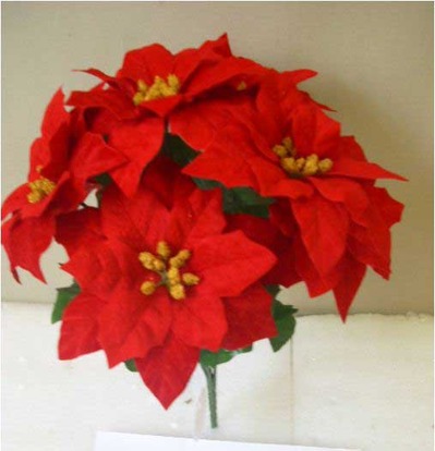 flor de pascua roja