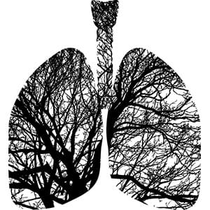 pulmão com árvore em preto e branco